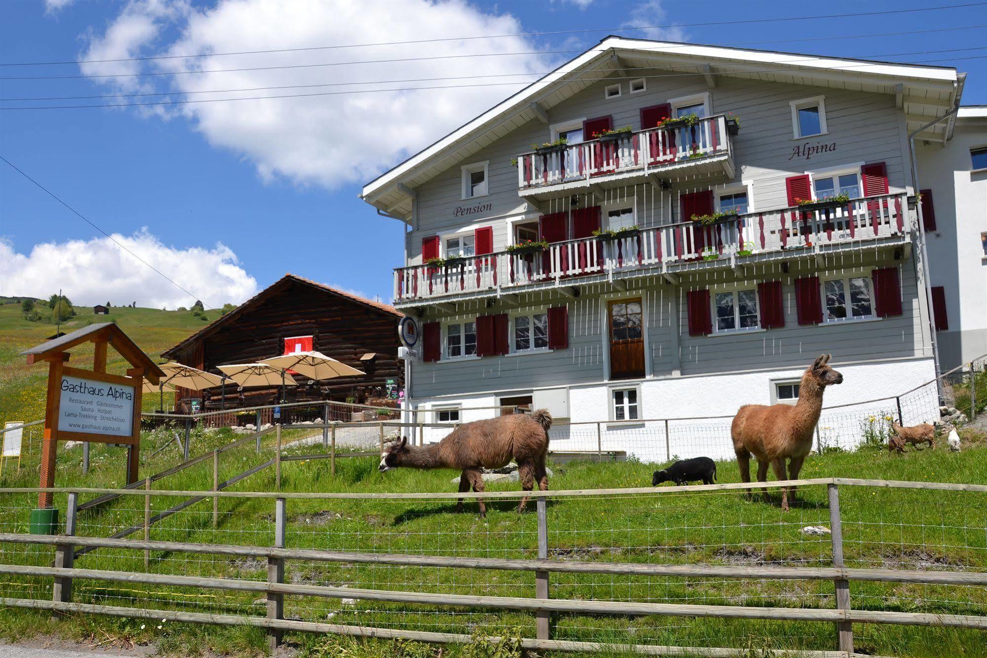 Gasthaus Alpina Tschappina المظهر الخارجي الصورة