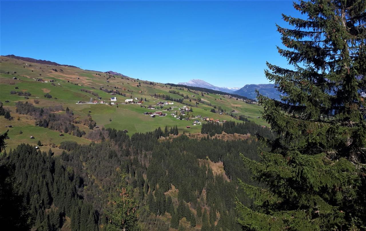 Gasthaus Alpina Tschappina المظهر الخارجي الصورة